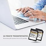 [5 anni di recupero dati gratuito] GIGASTONE Scheda di memoria da 256 GB Serie 4K Pro, velocità fino a 100 MB/s, compatibile con videocamere Canon, Nikon, Sony, A1 V30 UHS-I